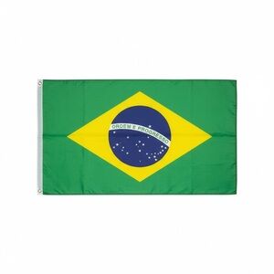 Brazilian Flag